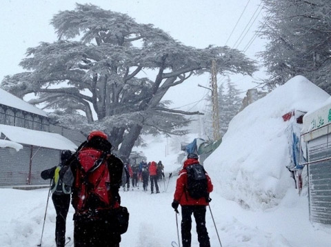 Ski LIBAN Ski au Liban